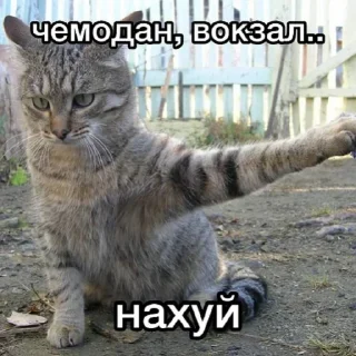 Стикер УБЕРИ СВОИ РУКИ - 4