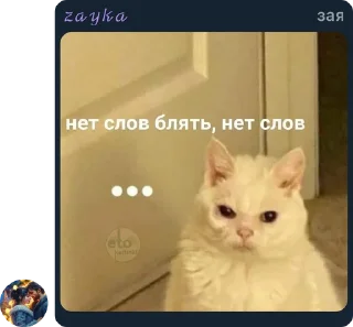 Sticker Стикеры Зайки❤️ - 0