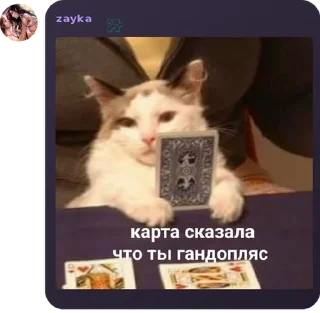 Sticker Стикеры Зайки❤️ - 5