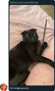 Sticker Стикеры Зайки❤️ - 3