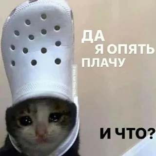 Стикер Больше стикеров 👉🏻 @stickertg4 - 3