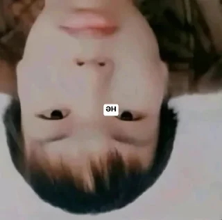 Стикер не, создатель @yukonno by @offstikbot - 0