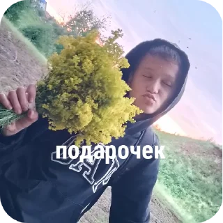 Стикер нэ @TgEmodziBot - 11