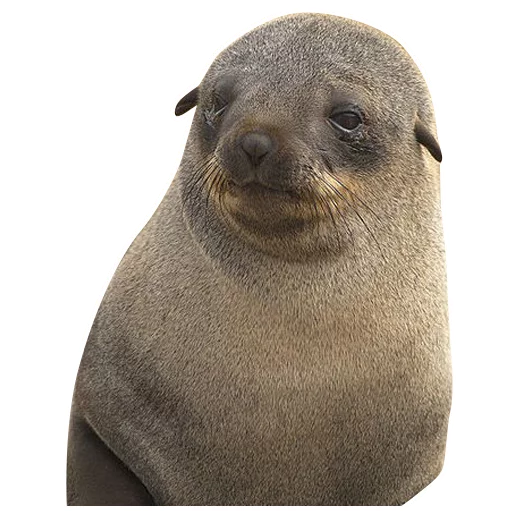 Стикер neaavyseal - 1