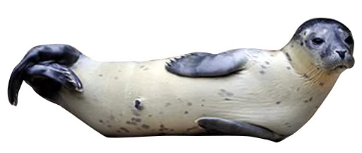 Стикер neaavyseal - 1