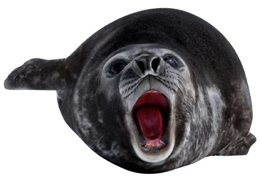 Sticker neaavyseal - 1