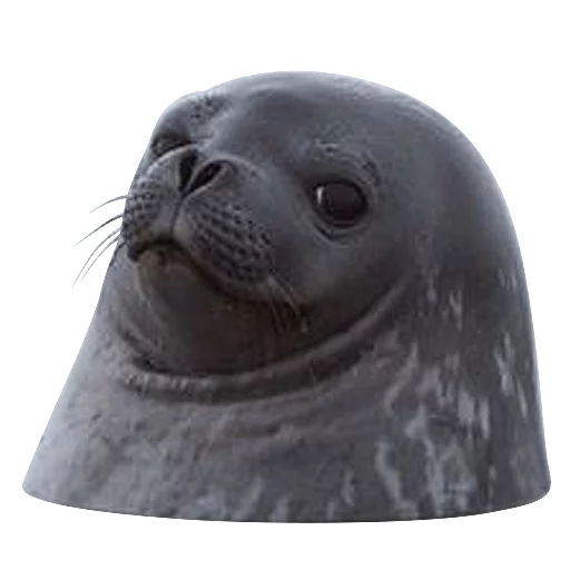 Стикер neaavyseal - 1