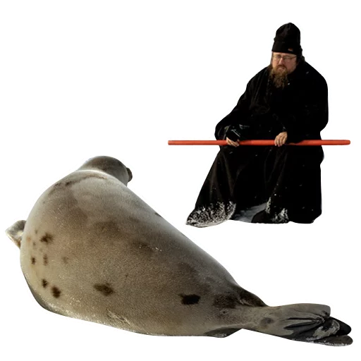 Стикер neaavyseal - 1