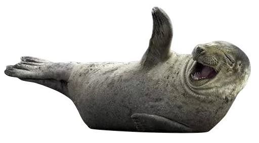 Sticker neaavyseal - 1