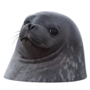 Sticker sealsseals - 3