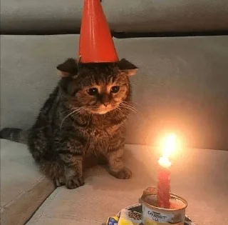 Стикер самый адекватный пак - 7