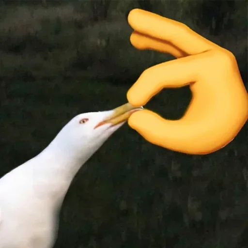 птица на открытом воздухе рука