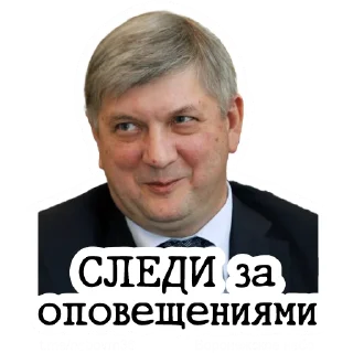 Sticker Воронежское Небо - 8