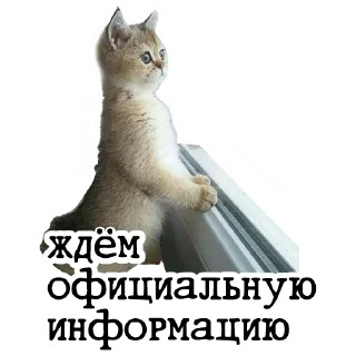 Sticker Воронежское Небо - 2
