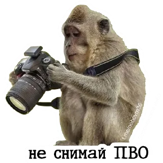 Sticker Воронежское Небо - 9