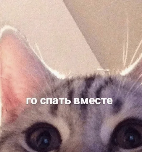 Стикер necorgi - 1