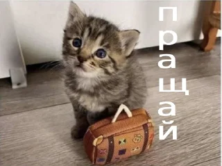 Стикер Слыш, работать - 3