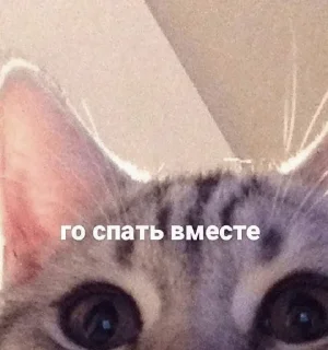 Стикер Слыш, работать - 10