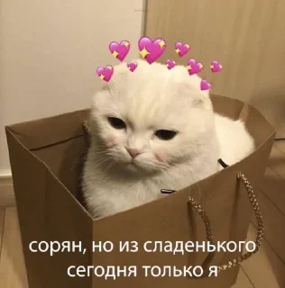 Стикер Слыш, работать - 6