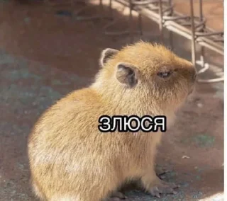 Стикер Слыш, работать - 0