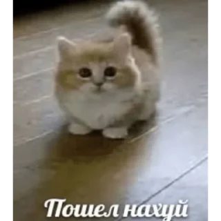 Стикер на все случаи - 7