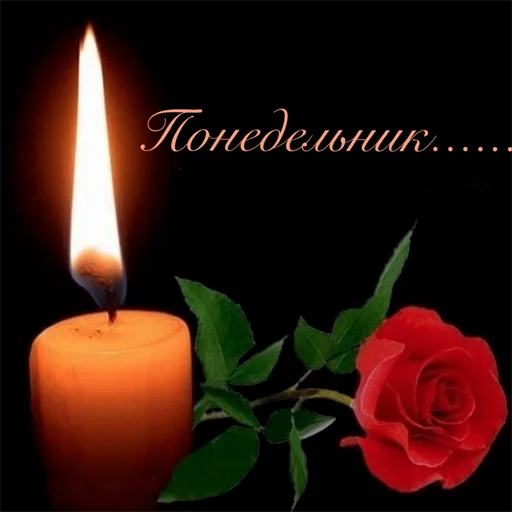 Неделька  @soundsfromthevagina - 