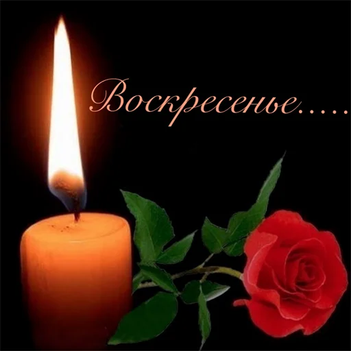 Стикер Неделька  @soundsfromthevagina - 4