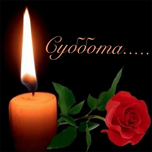 Стикер Неделька  @soundsfromthevagina - 0