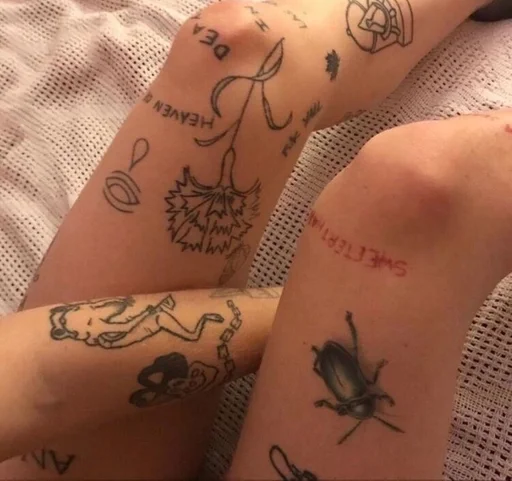 🍄 милые стикеры 🍄 by @fStikBot - животное