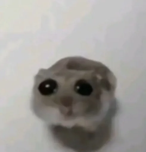 Sticker nedokaka - 1