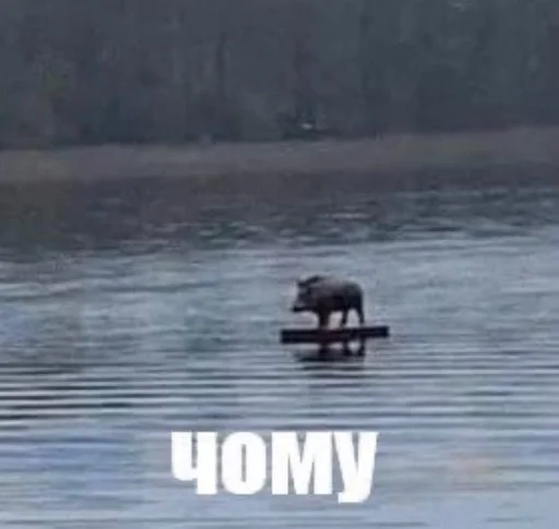 Стикер Недостикеры - 8