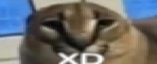 Стикер Недостикеры - 2