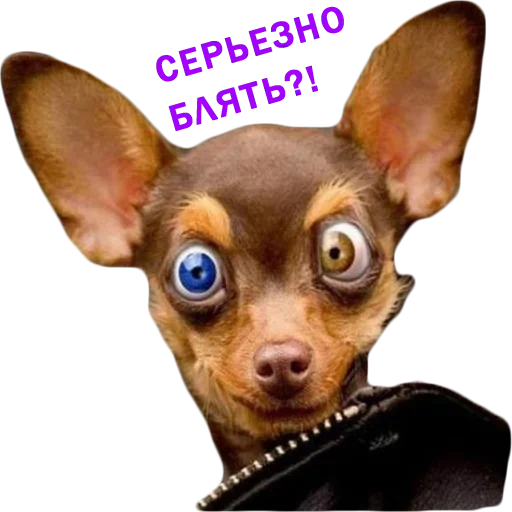 Sticker Нужные Стикеры - 6