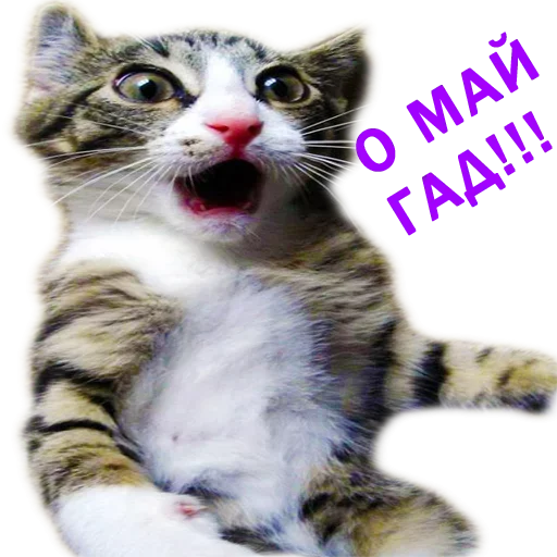 Sticker needstickers - 1