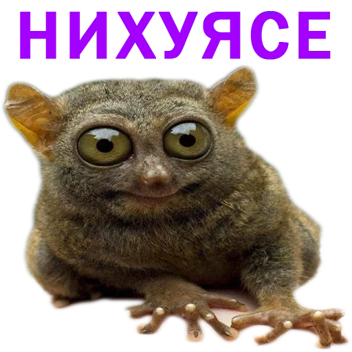 Sticker Нужные Стикеры - 0