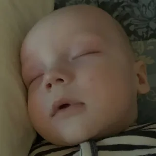 Sticker лука брадд |nefor family| - 2