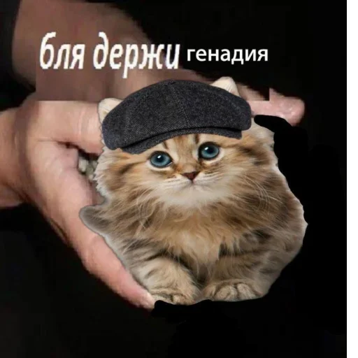 Стикер нефор сити - 1