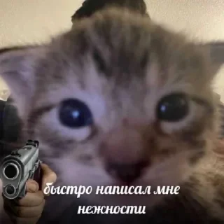 Стикер нефор сити - 4