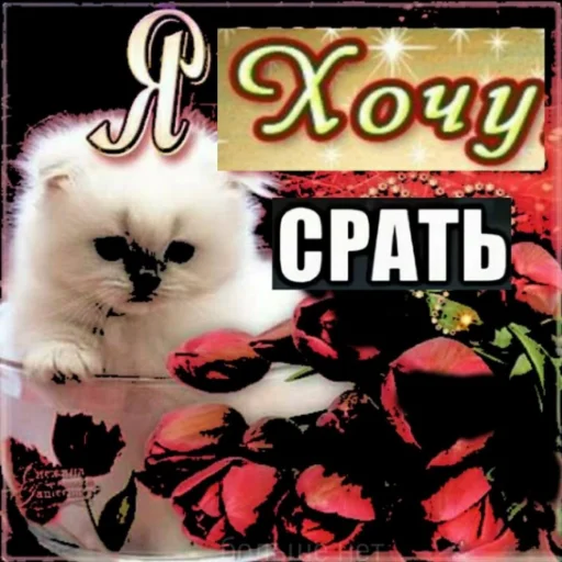 Sticker кто прочитал тот кончит - 10