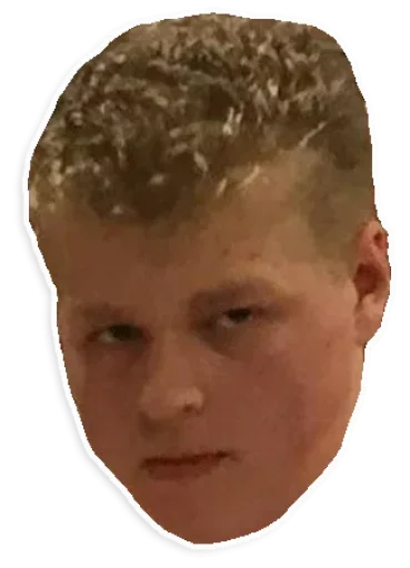 Neketa's pack (@thegreatn) - human face