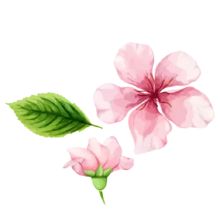 Sticker ᜊ:neko ˖⋅「 @wexsavi  」 - 5