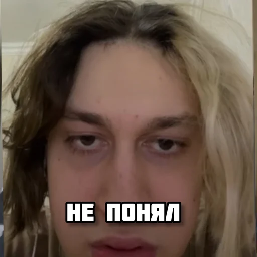 human face eyebrow person