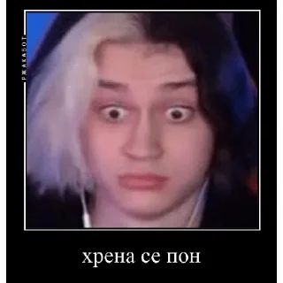 Sticker некоглайски пон - 8