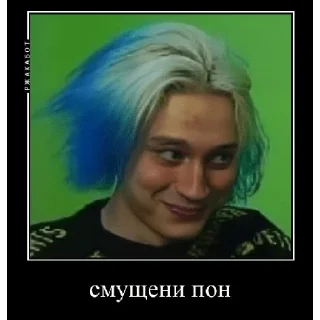 Sticker некоглайски пон - 6