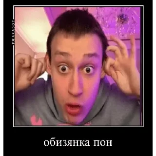 Sticker некоглайски пон - 1