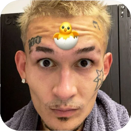 Sticker nekonchai_v_tanke - 1