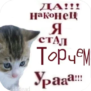 Стикер Некончай, ты чего? - 11