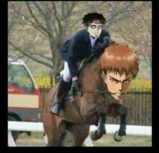 outdoor stallion mane