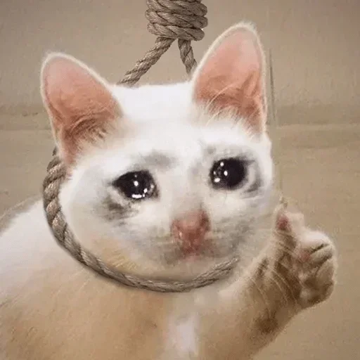 Sticker Nelzya 4 by @ne_sirozhka by @fStikBot - 9