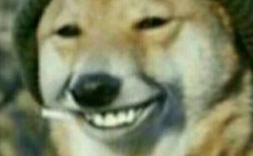 Стикер NE MANGA DROCH - 8